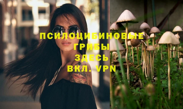 Альфа ПВП Арсеньев