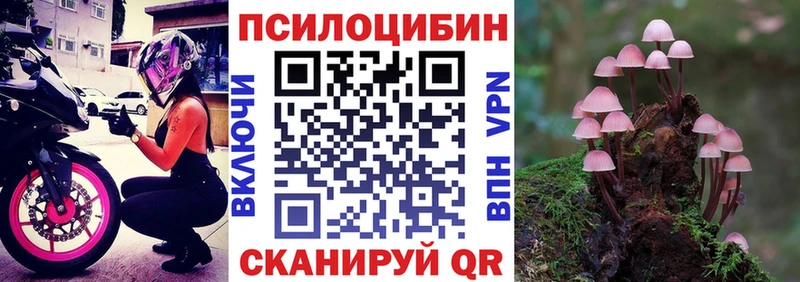 мега как войти  Балахна  Псилоцибиновые грибы Psilocybe 